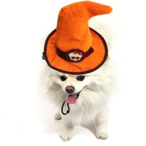 SOMBRERO BRUJA PARA MASCOTAS NARANJA