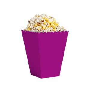 POCHOCLERA VIOLETA X10