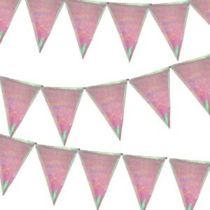 GUIRNALDA BANDERINES IRIDISCENTES 360 CM