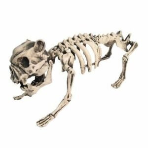 ESQUELETO DE PERRO HELLHOUND