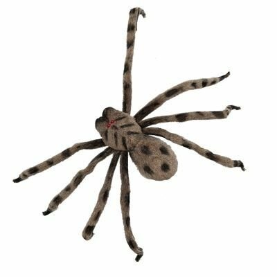 Araña atigrada