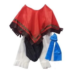 DISFRAZ VENDEDOR COLONIAL  AMBULANTE CROSTI T2